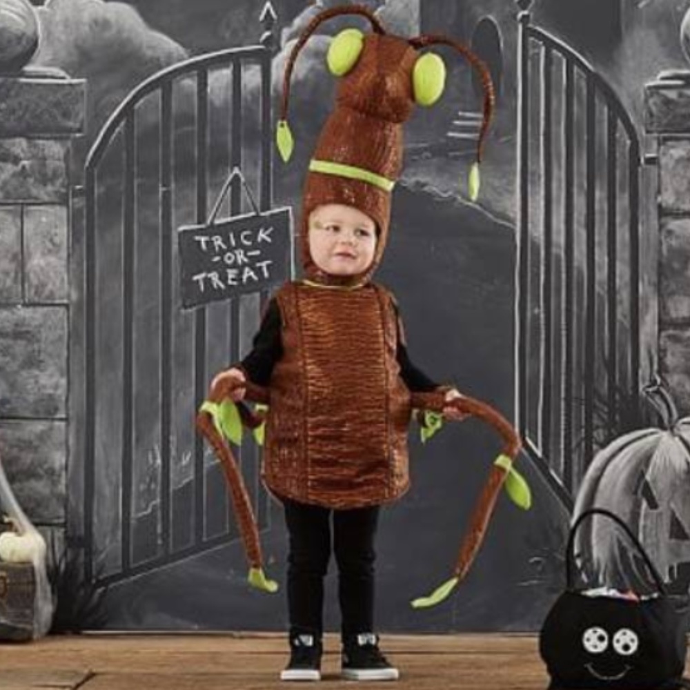 Pottery Barn Kids Stick Bug Halloween Costume
